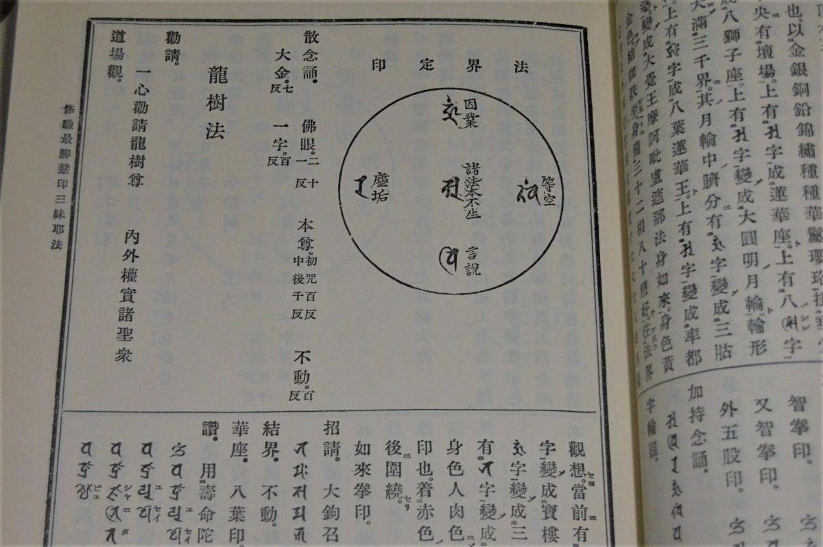 P1820890 (2)